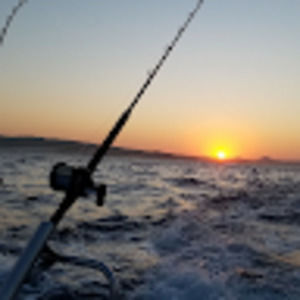 Meet your Posher, Patrick